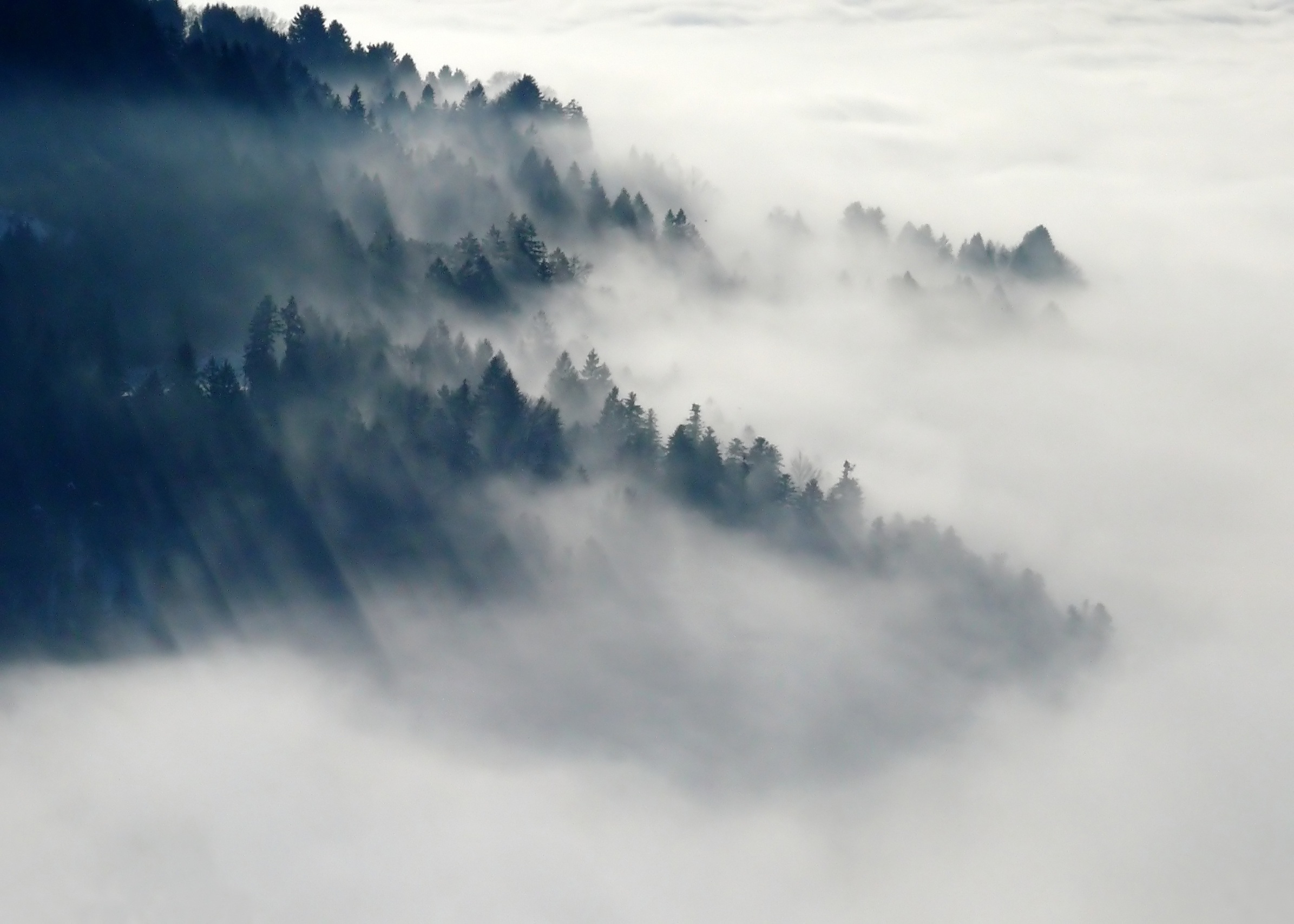 project thumbnail